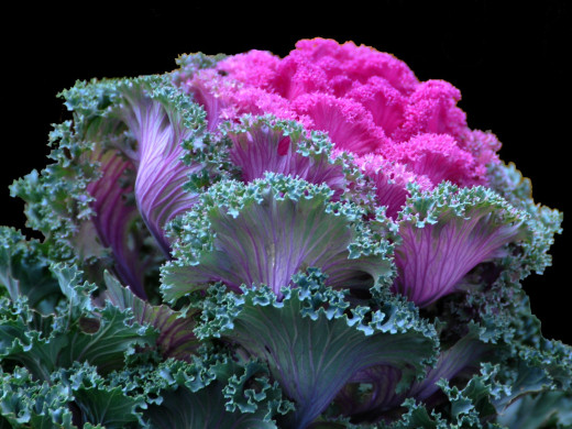 429664 (a): :1600x1200
